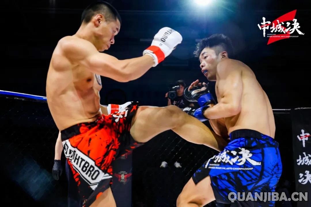 MMA-1.jpg