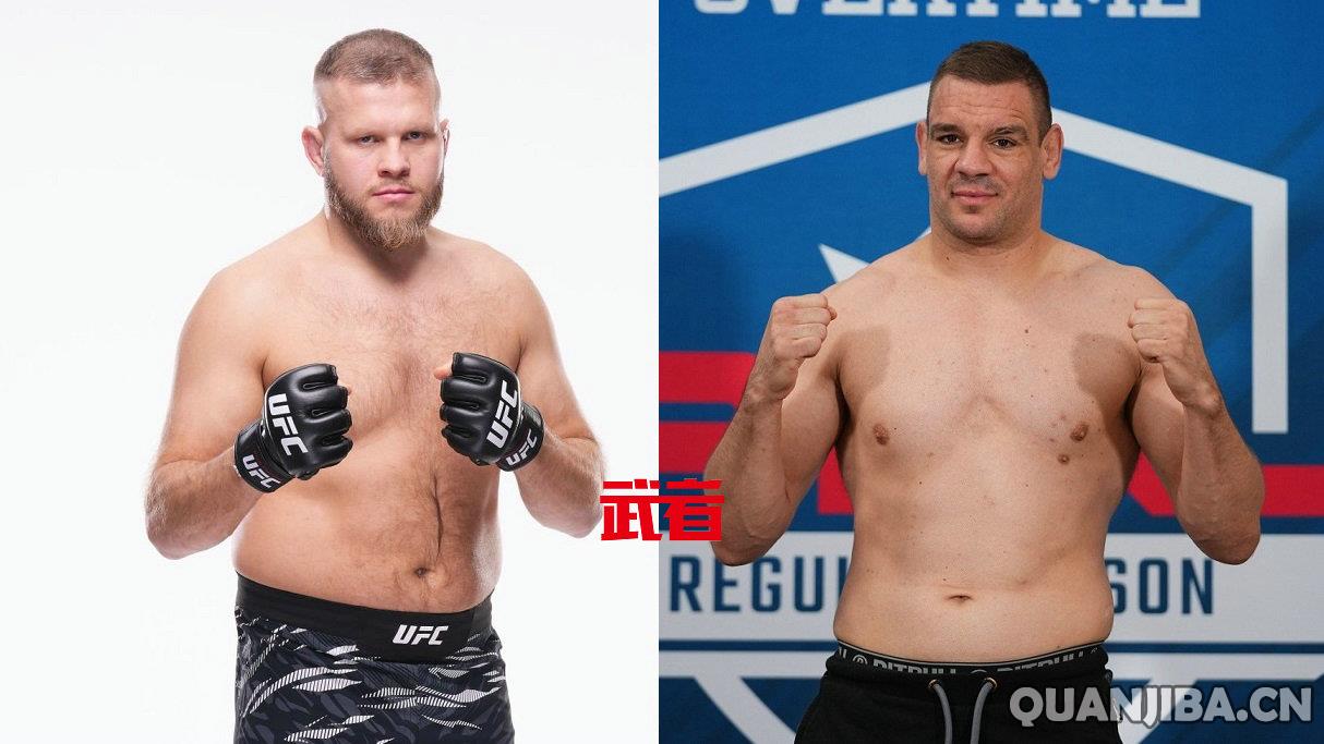 UFC_Tybura_Delija.jpg