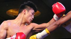 杨兴新澳洲4回合遭KO落败 未能夺取OPBF金腰带
