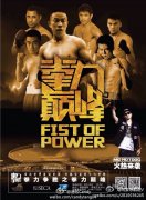 “拳力巅峰”职业拳击争霸赛