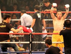 杨连慧独臂KO获WBO洲际金腰带