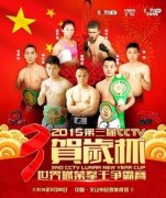 熊朝忠领衔第三届CCTV贺岁杯世界职业拳王争霸赛