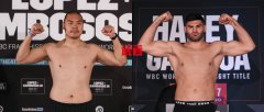 张志磊或将对阵赫戈维奇争夺IBF世界冠军挑战权