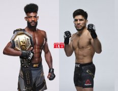 UFC 287：阿尔加麦恩·斯特林vs亨利·塞胡多