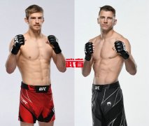 3月20日UFC：阿诺德·艾伦vs丹·胡克