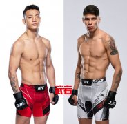 茸主第三场UFC比赛确定！2月对阵智利新秀