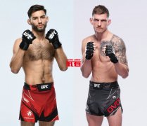 UFC 289：施奈尔vs德沃夏克，伊盖vs兰德维尔