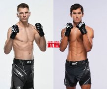 UFC 281：丹·胡克vs克劳迪奥·普勒斯