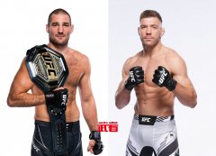 UFC 297：肖恩·斯特里克兰德vs德里克斯·杜·普莱