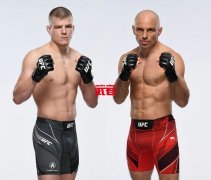 10月30日UFC：马克·马德森vs格兰特·道森