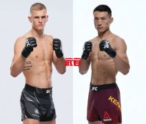 UFC 285：宋克南vs伊恩·加里