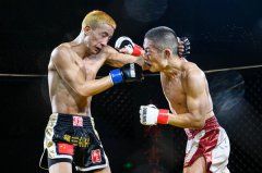 增城龙三格斗赛，在岭南古邑“扎根”