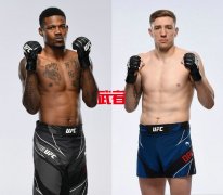 11月14日UFC：凯文·霍兰德vs凯尔·道考斯二番战