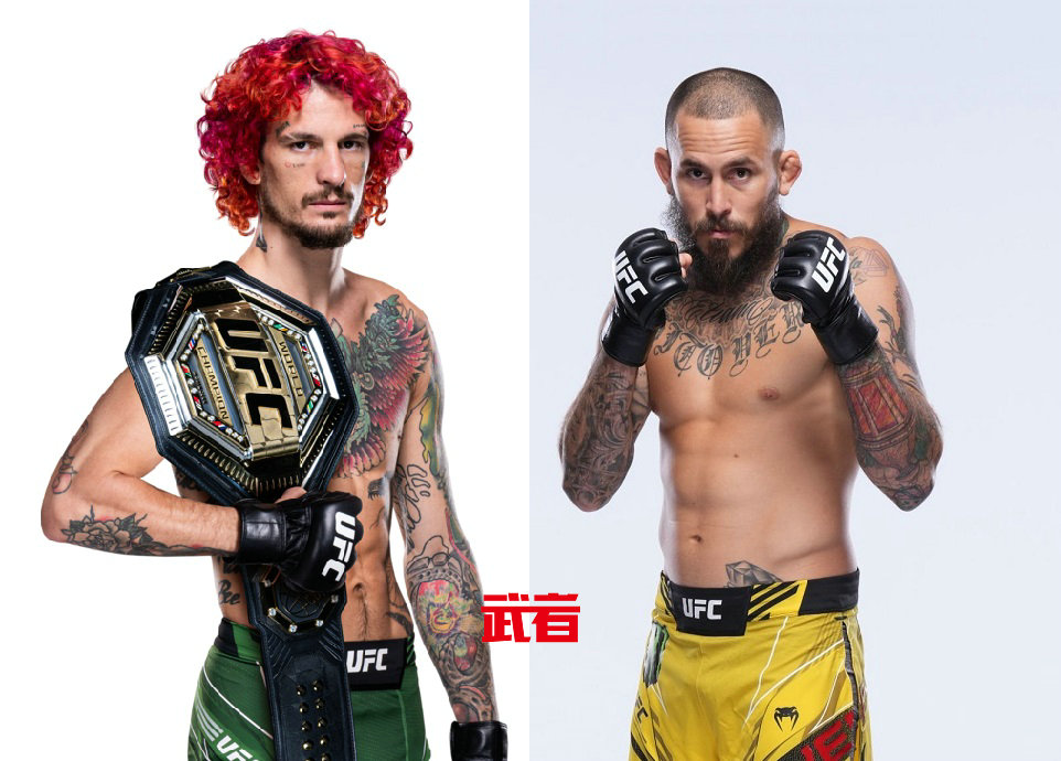 UFC 299：肖恩·奥马利vs马龙·维拉