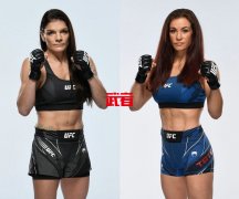 UFC 273：米莎·塔特蝇量级首秀对阵劳伦·墨菲
