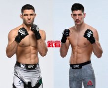 11月14日UFC：蒂亚戈·莫伊塞斯vs乔尔·阿瓦雷兹