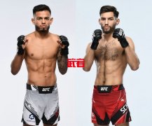 UFC 274：布兰登·罗伊瓦尔vs马特·施奈尔