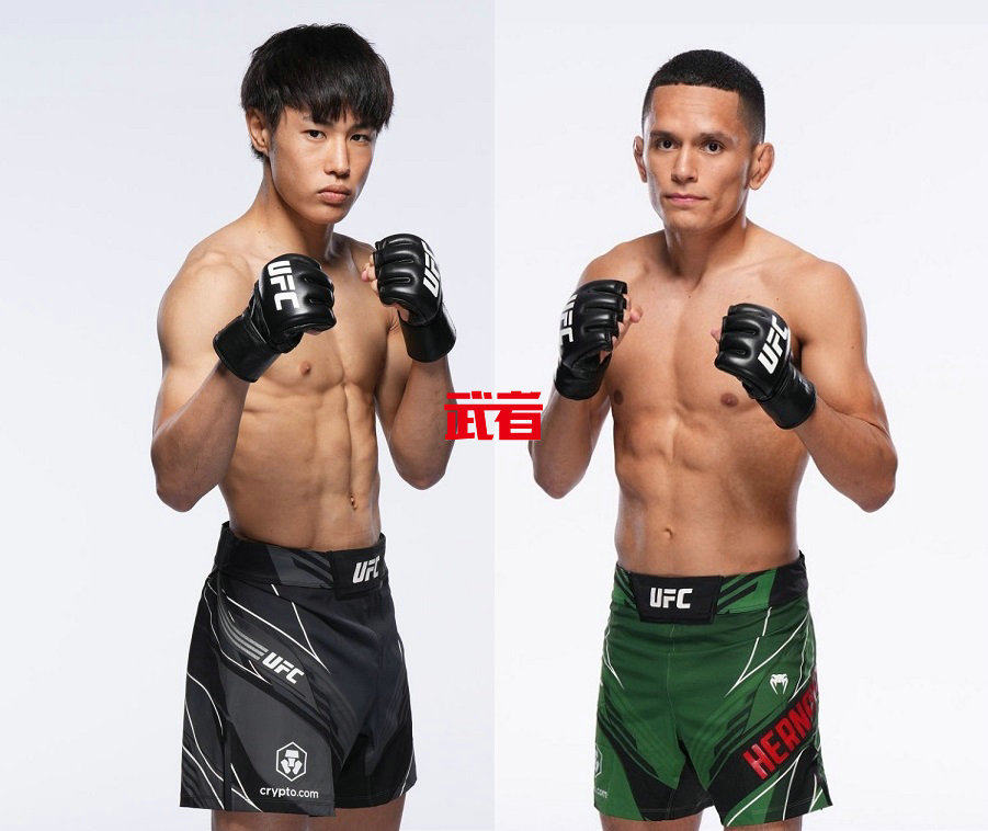 12月9日UFC上海站：平良达朗vs卡洛斯·赫尔南德兹