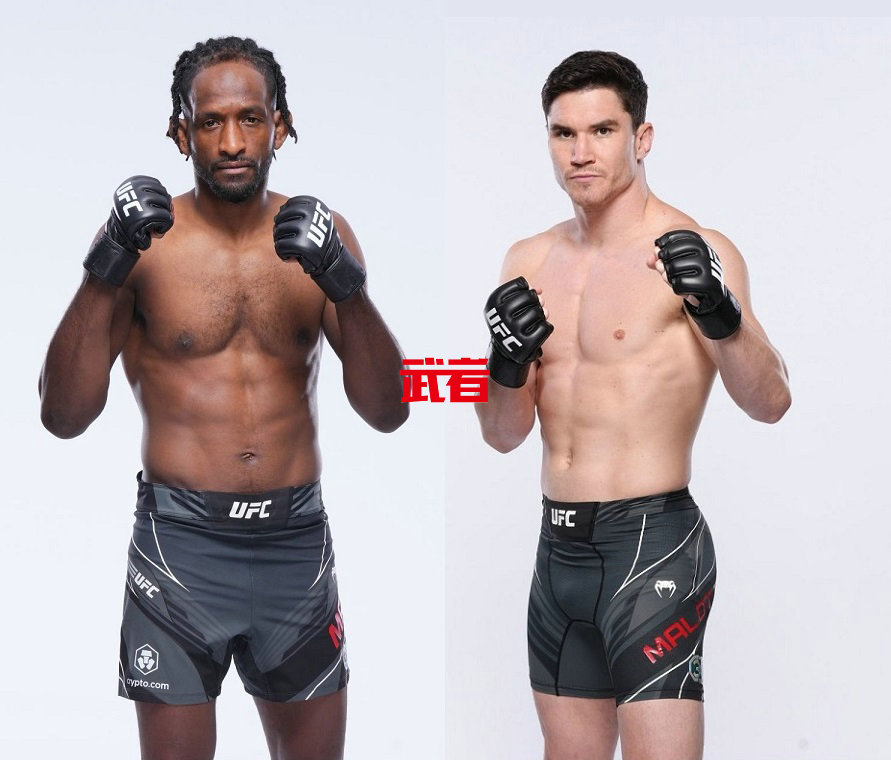UFC 297：尼尔·马格尼vs麦克·马洛特