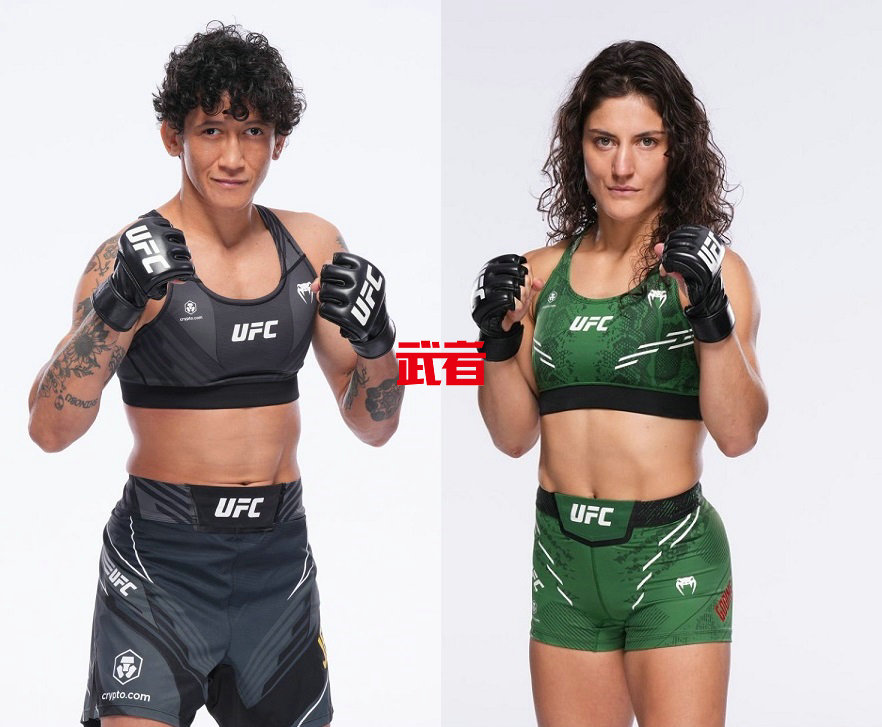 3月31日UFC：维尔娜·詹迪罗巴vs鲁皮塔·戈迪内兹