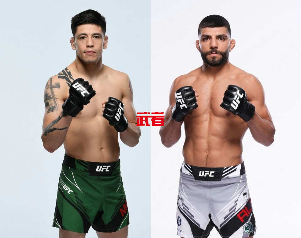 2月25日UFC：布兰登·莫雷诺vs阿米尔·阿尔巴齐
