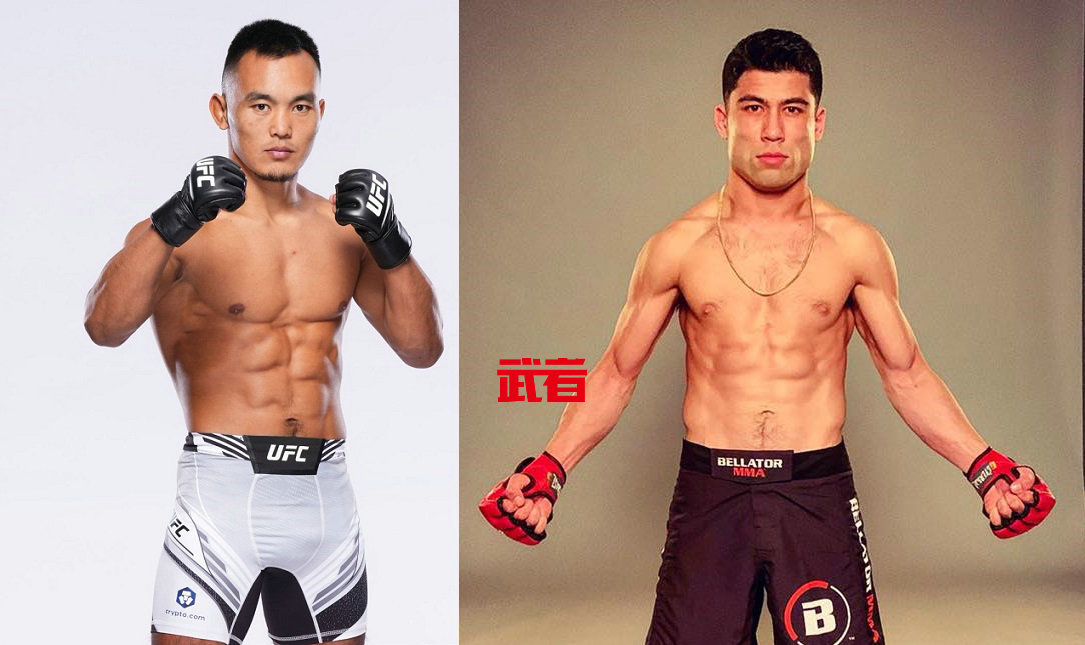 2月11日UFC：沙依兰vs海德·阿米尔
