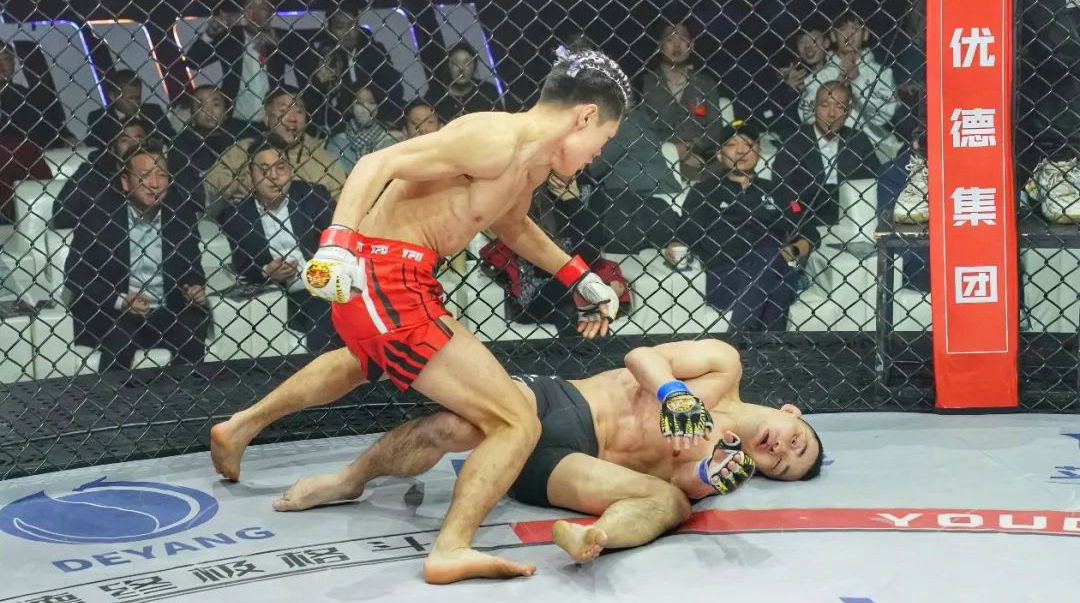 武林笼中对战报 | 日本shoot金腰带惨遭首回合飞膝