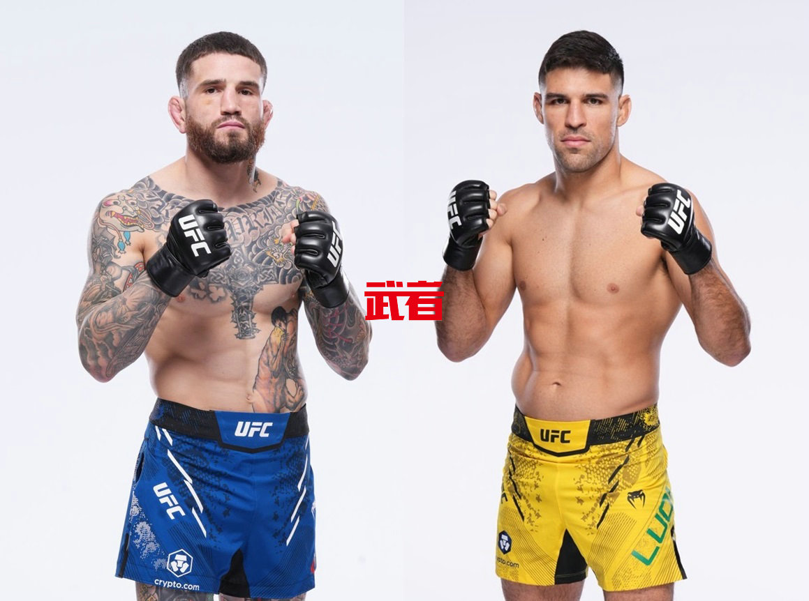 3月31日UFC：肖恩·布雷迪vs维森特·卢奎
