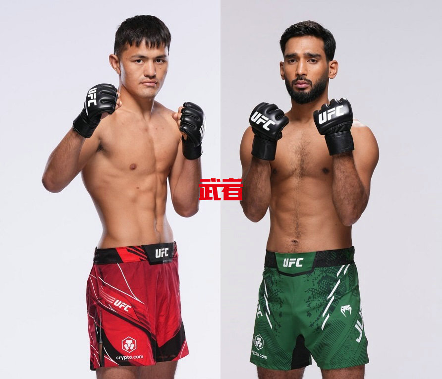 4月28日UFC：中国新秀马合沙特vs朱伯利，丽普斯基