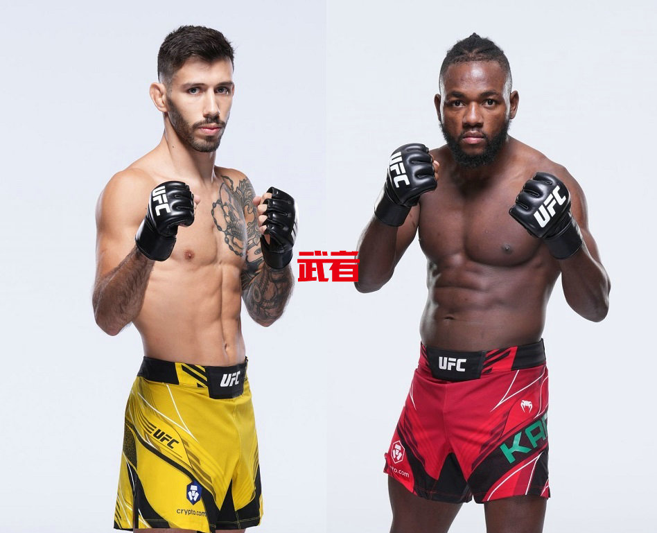 4月28日UFC：马修斯·尼科劳vs曼内尔·卡佩