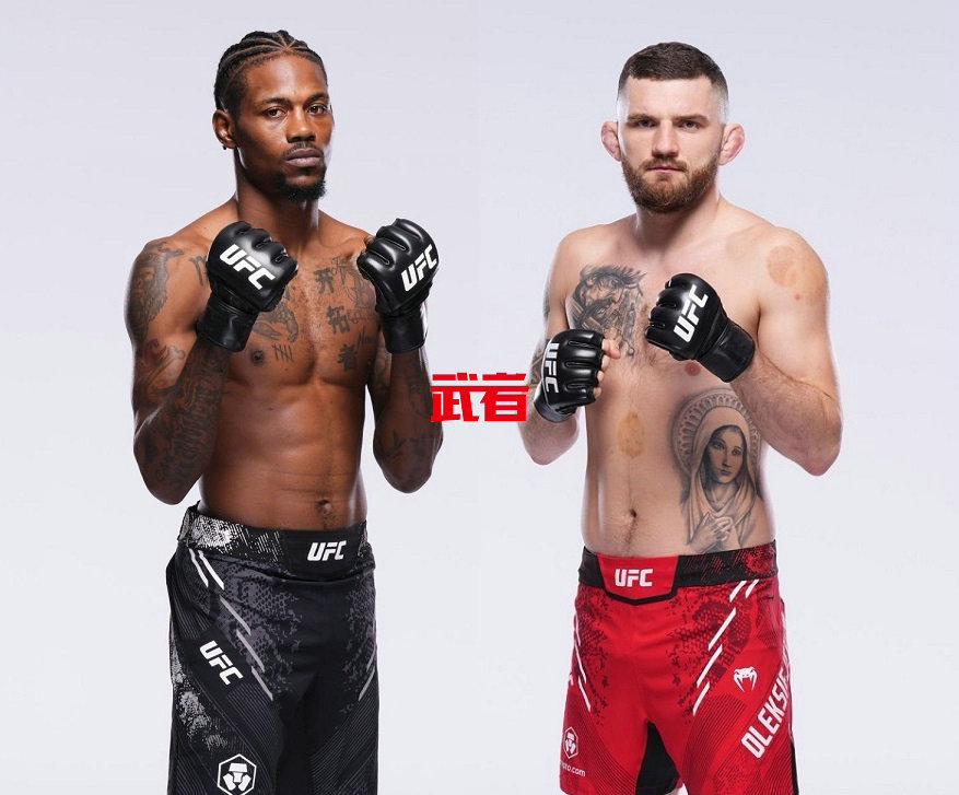 UFC 302：凯文·霍兰德vs米查尔·奥列克西耶