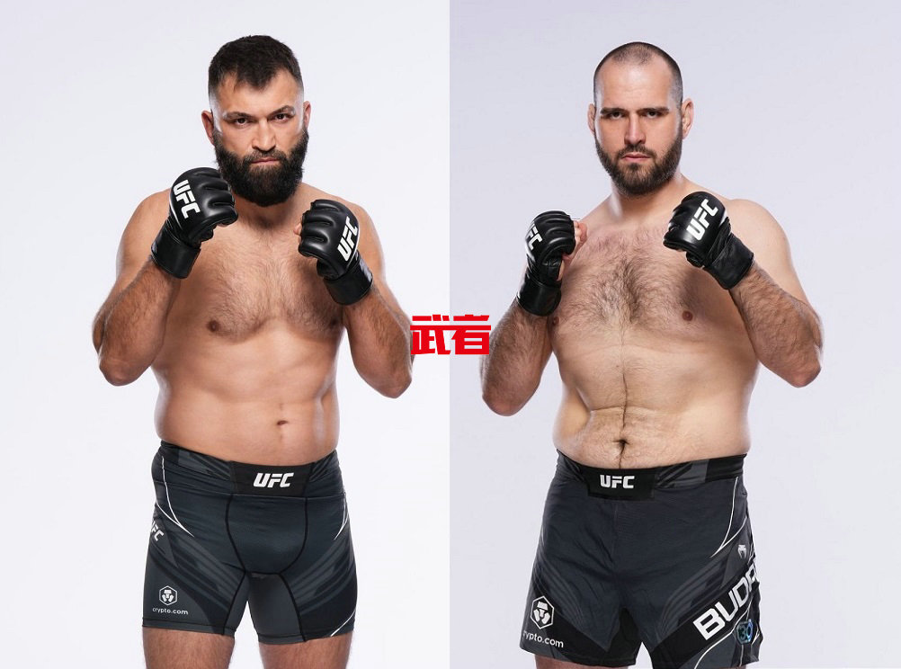 UFC 303：安德烈·阿洛夫斯基vs马丁·布戴