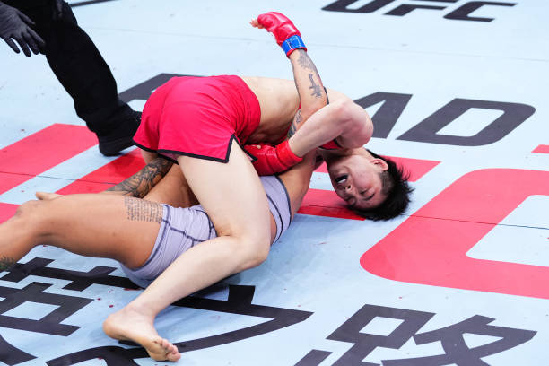 7位中国选手获胜！UFC精英之路第3季首轮战报
