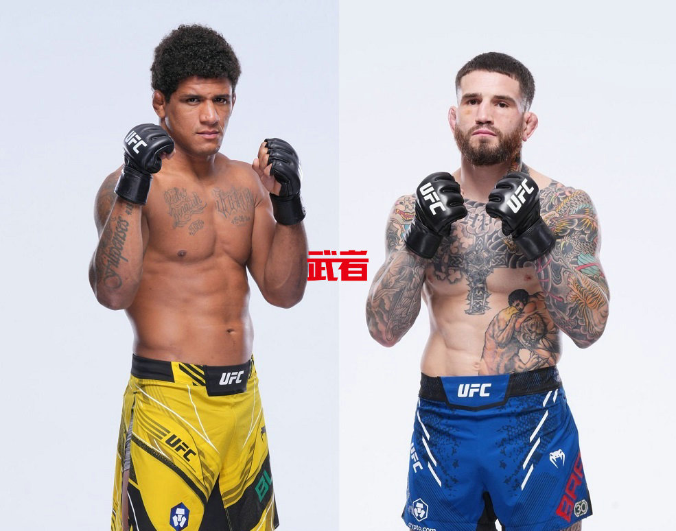 9月8日UFC：吉尔伯特·伯恩斯vs肖恩·布雷迪