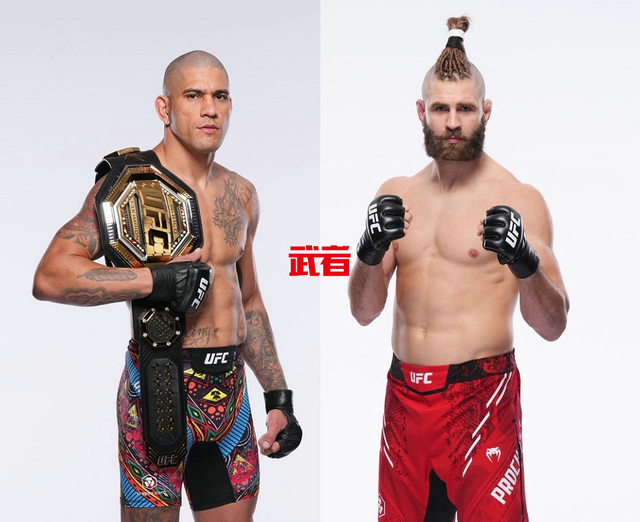 UFC 303：麦格雷戈退赛，佩雷拉与普罗哈兹卡领衔