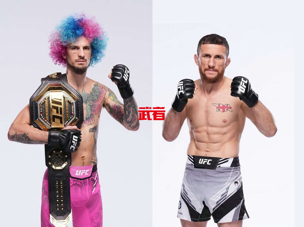 UFC 306：奥马利对阵德瓦利什维利，格拉索