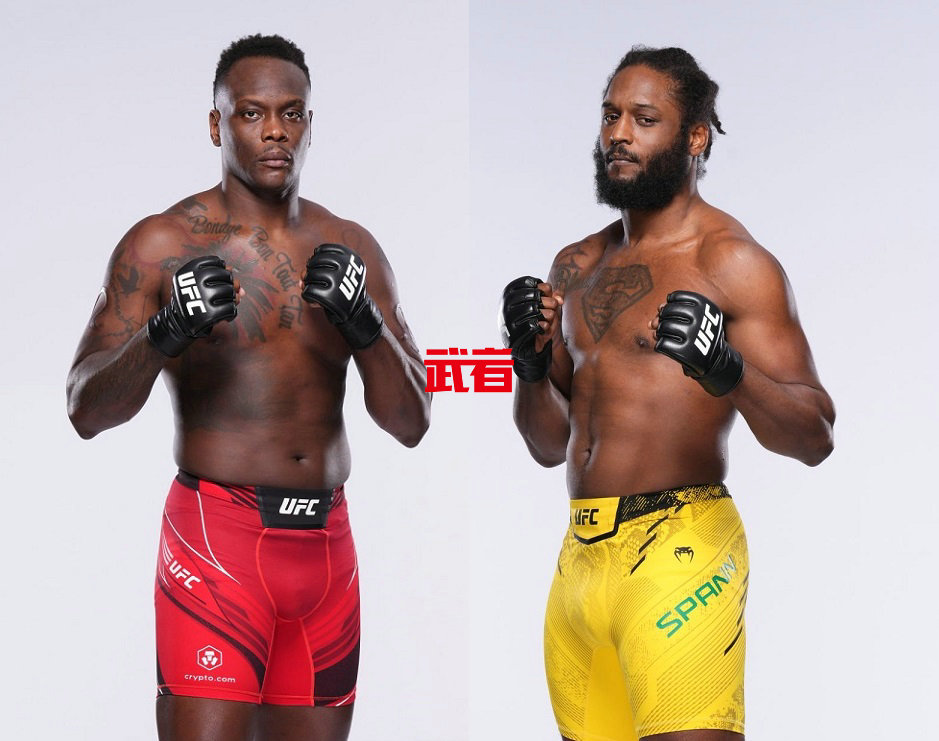 9月8日UFC：欧文斯·圣·普吕将在成都拳击比赛中