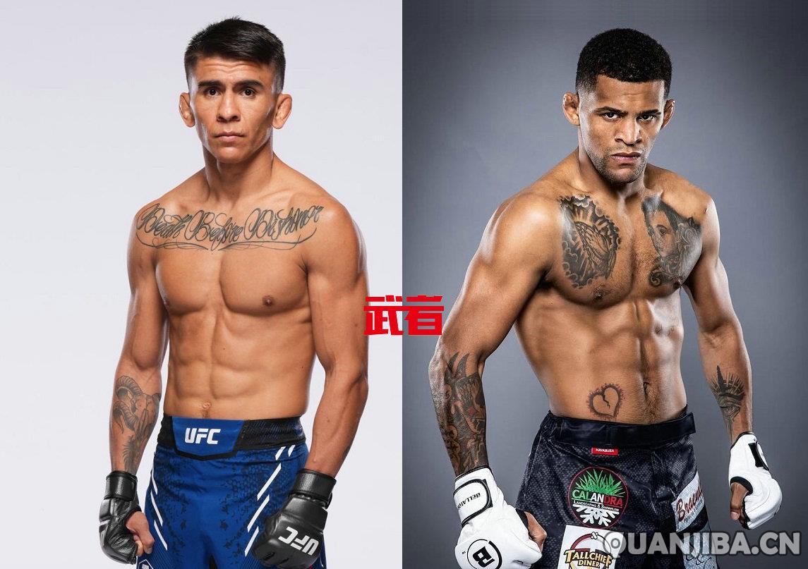 UFC 316：维拉退赛，米克斯替补挑战拳击冠
