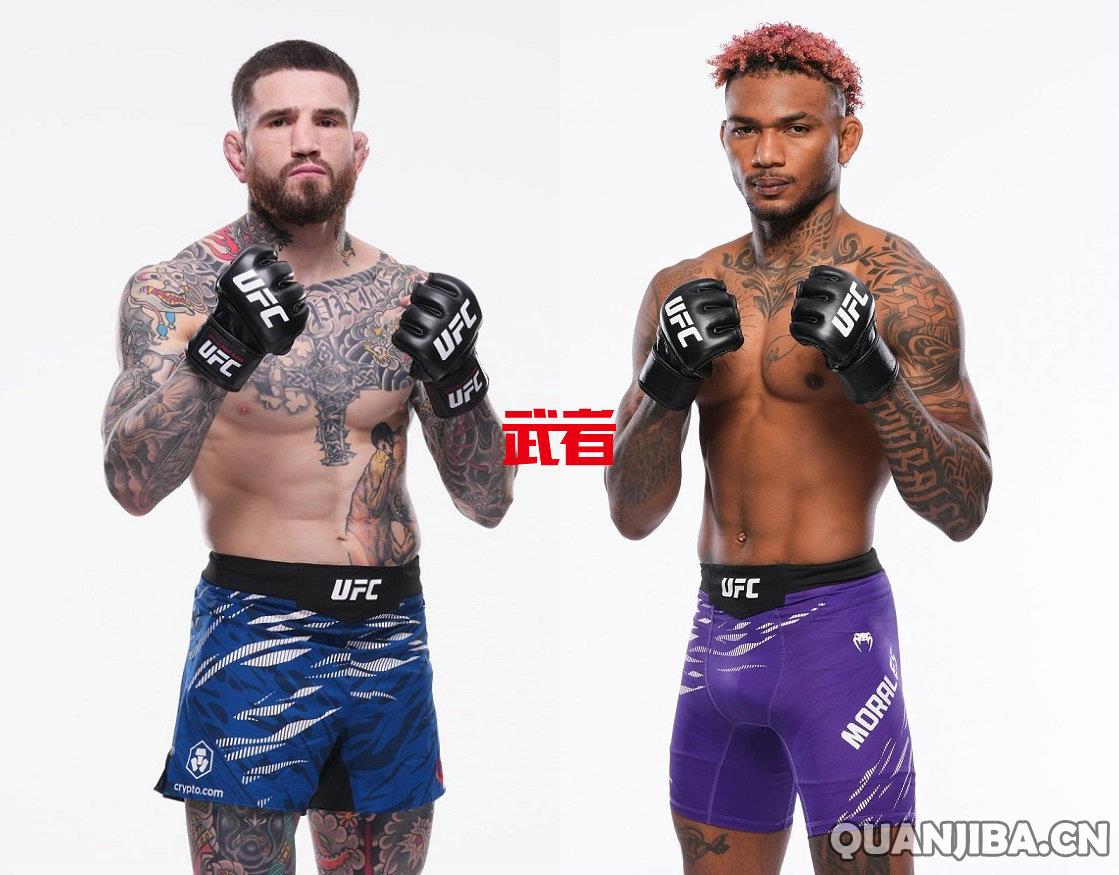 UFC 322：肖恩·布雷迪挑战迈克尔·莫拉莱斯，将擦出散打的火花