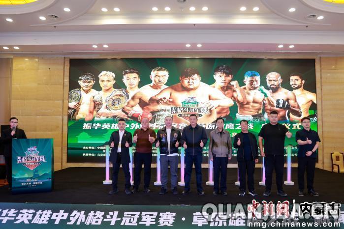 成都拳击冠军争霸赛“振华英雄”中外格
